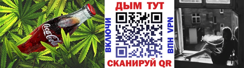 ссылка на мегу tor  Новокубанск  Cannafood конопля  цена  