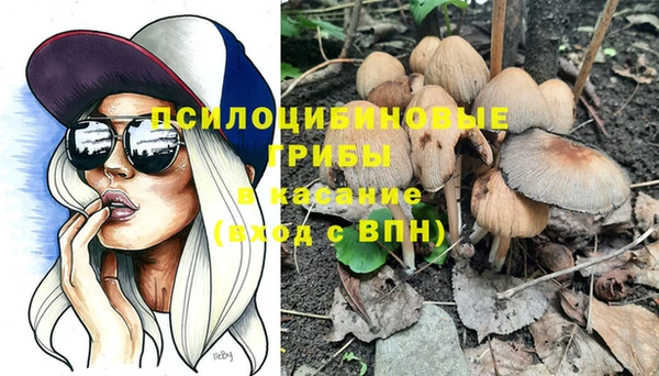 хмурый Михайловка