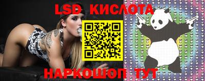 гашик Аргун