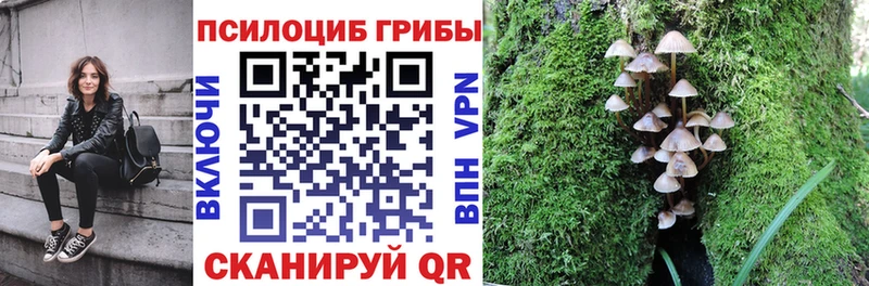 Галлюциногенные грибы Psilocybine cubensis  где можно купить наркотик  Новокубанск 