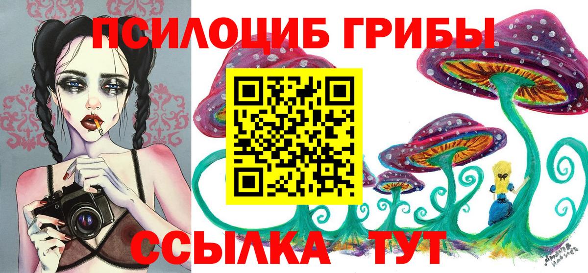 Псилоцибиновые грибы ЛСД  Вход с VPN  Новокубанск 