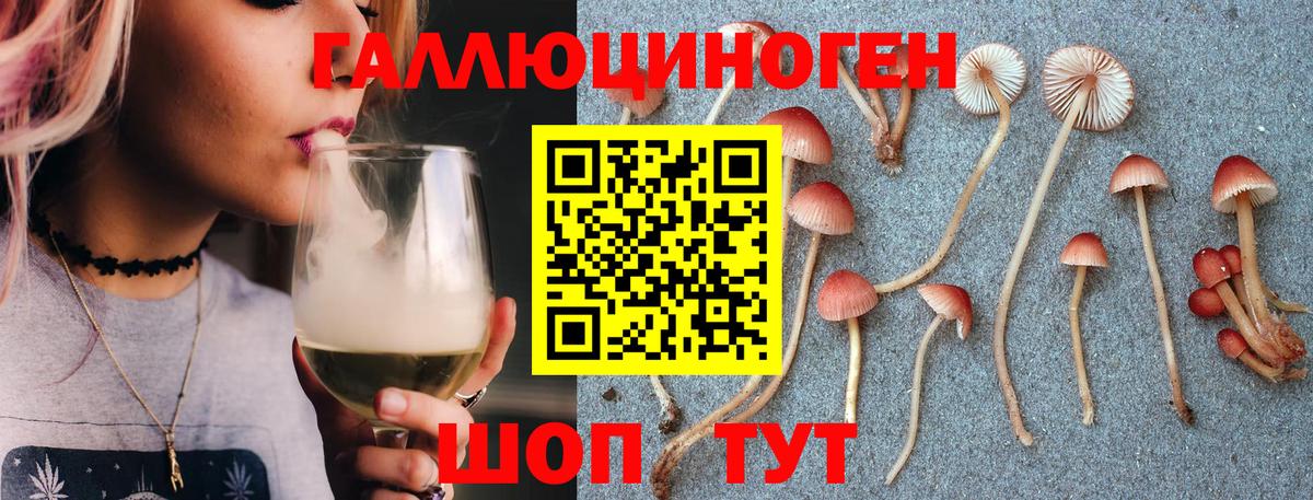 Галлюциногенные грибы прущие грибы  Новокубанск  Псилоцибиновые грибы мухоморы 