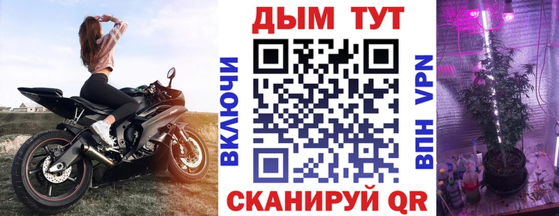 где купить   Новокубанск  Канабис ГИДРОПОН 